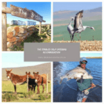 The Stables – Infanta Accommodation